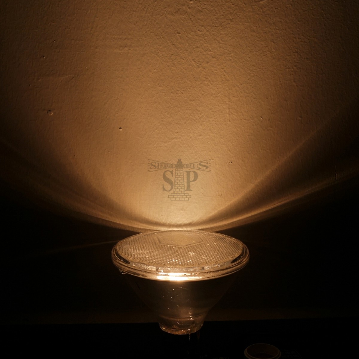 Phoenix PAR 38 120W Incandescent Filament Flood Light Bulb